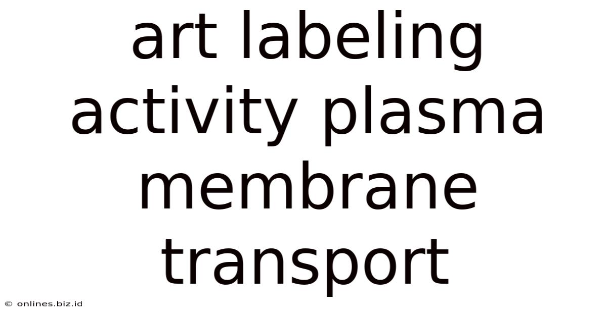 Art Labeling Activity Plasma Membrane Transport