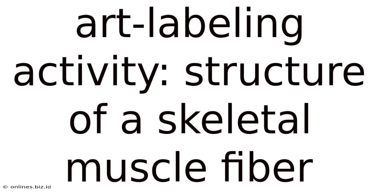 Art-labeling Activity: Structure Of A Skeletal Muscle Fiber