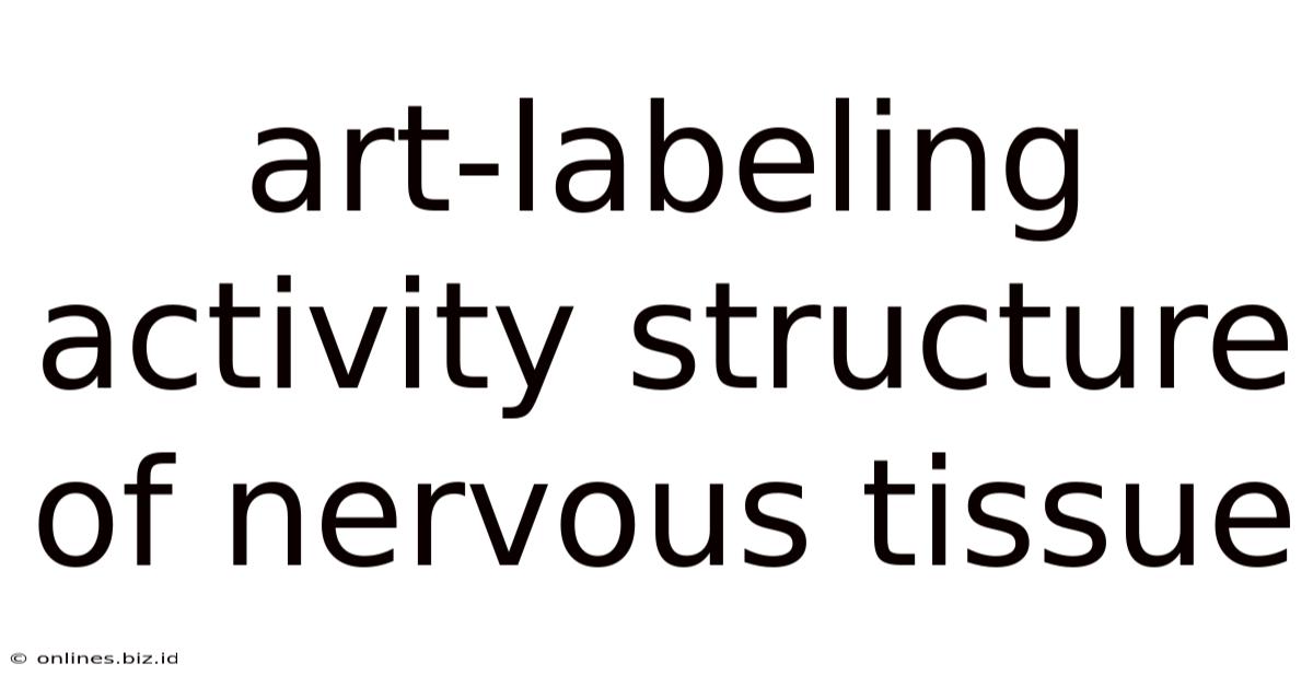 Art-labeling Activity Structure Of Nervous Tissue