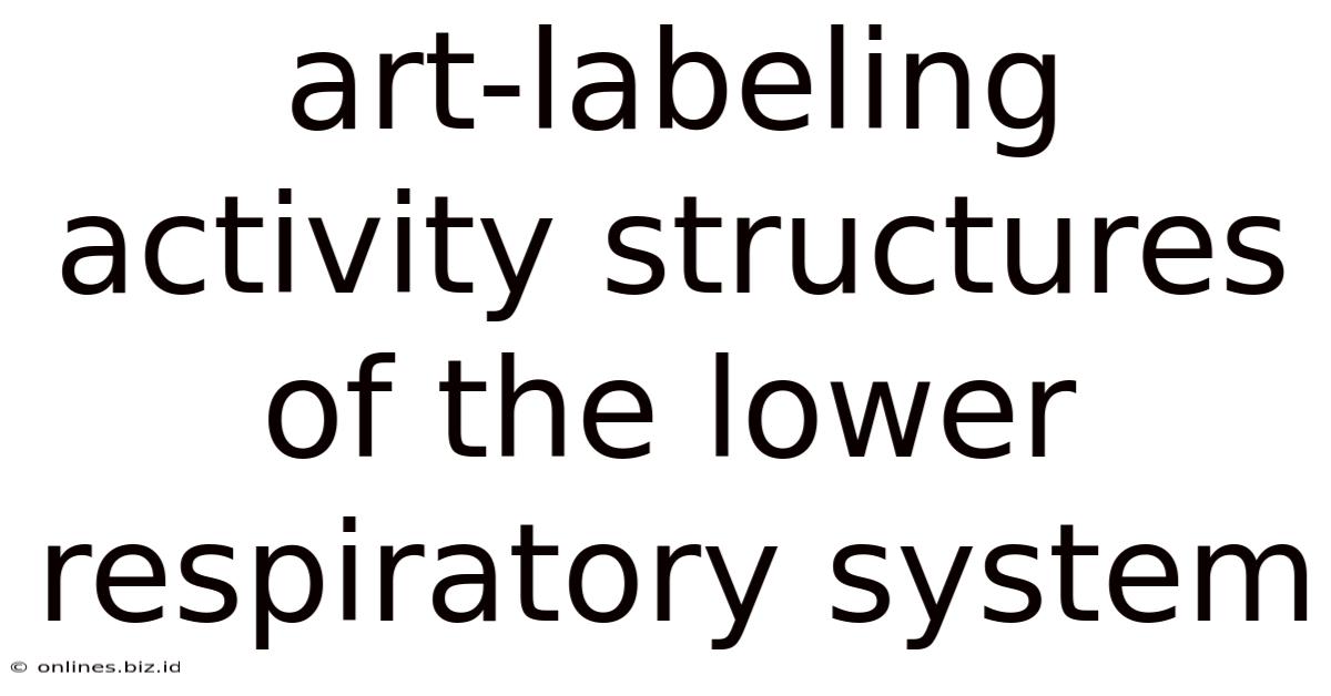 Art-labeling Activity Structures Of The Lower Respiratory System