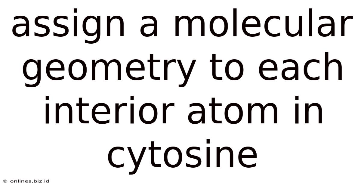 Assign A Molecular Geometry To Each Interior Atom In Cytosine