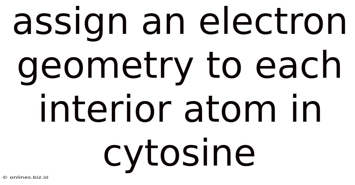 Assign An Electron Geometry To Each Interior Atom In Cytosine