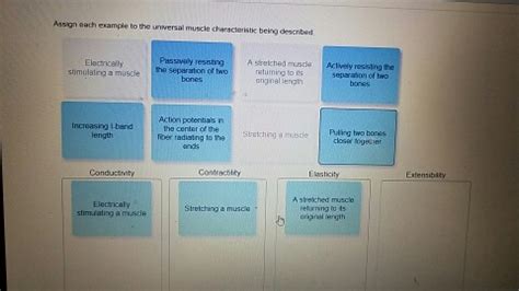 Assign Each Example To The Universal Muscle Characteristic Being Described.