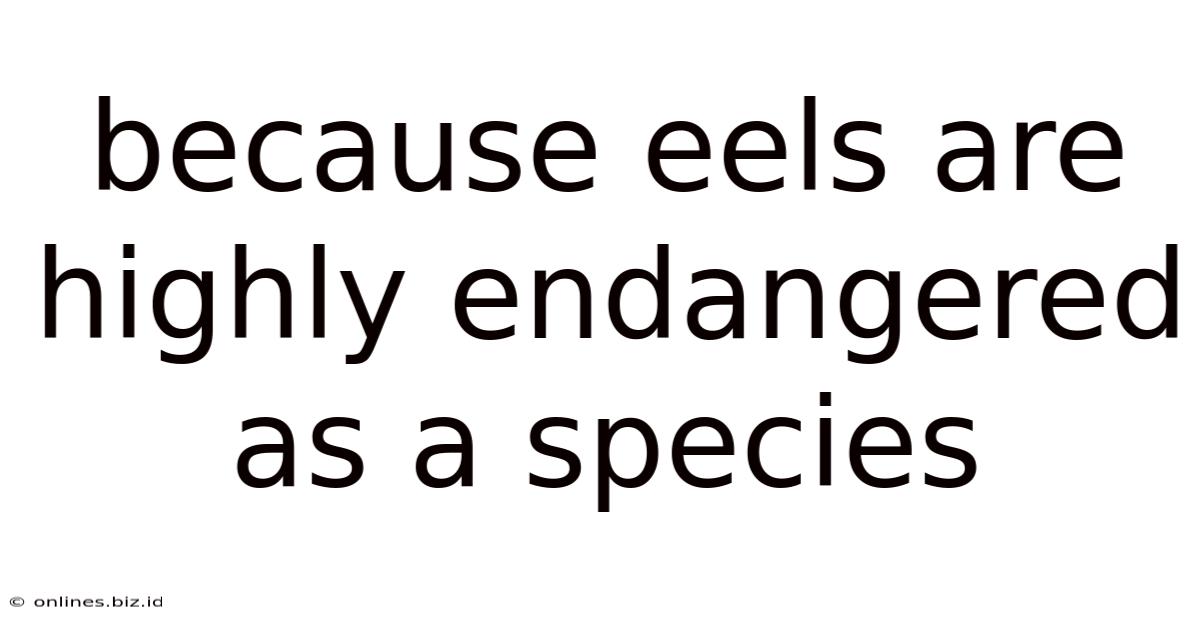 Because Eels Are Highly Endangered As A Species