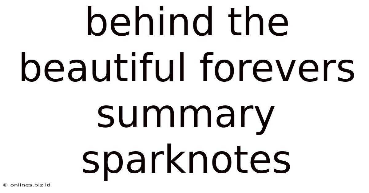 Behind The Beautiful Forevers Summary Sparknotes
