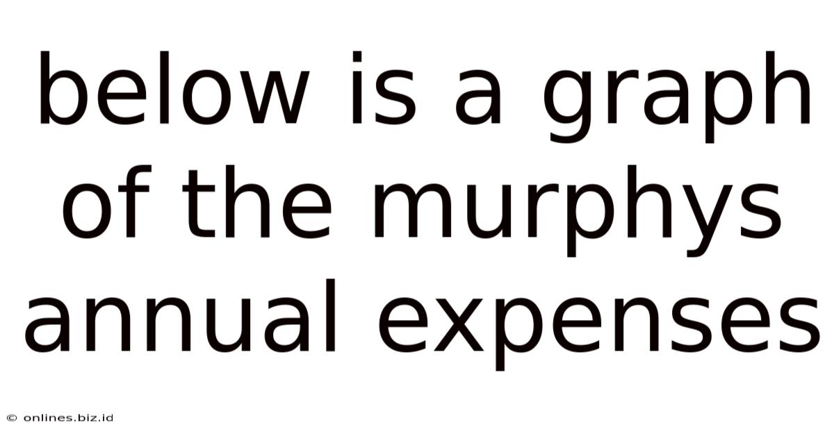 Below Is A Graph Of The Murphys Annual Expenses