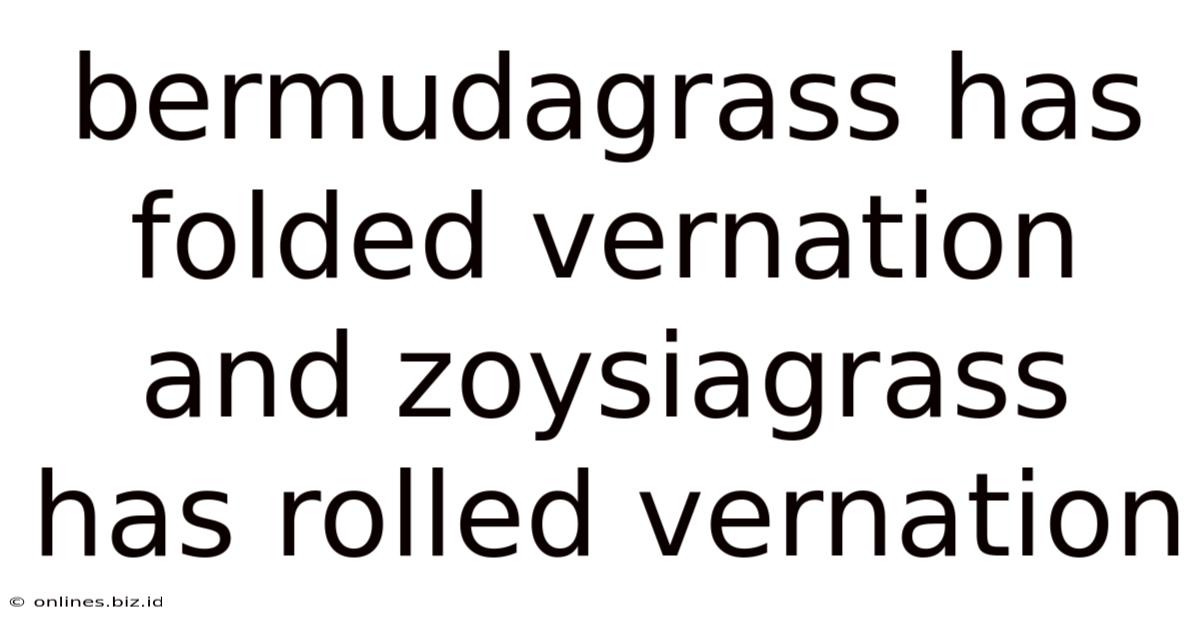 Bermudagrass Has Folded Vernation And Zoysiagrass Has Rolled Vernation