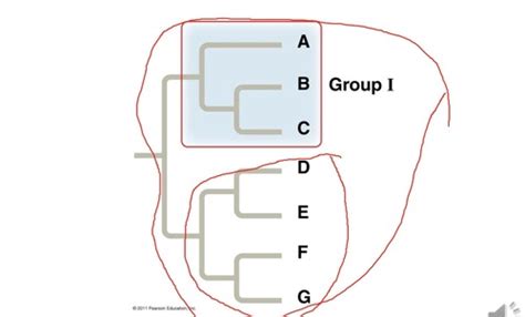 Bio 102 A Season 2 Discussion Colorado Christian University Quizlet