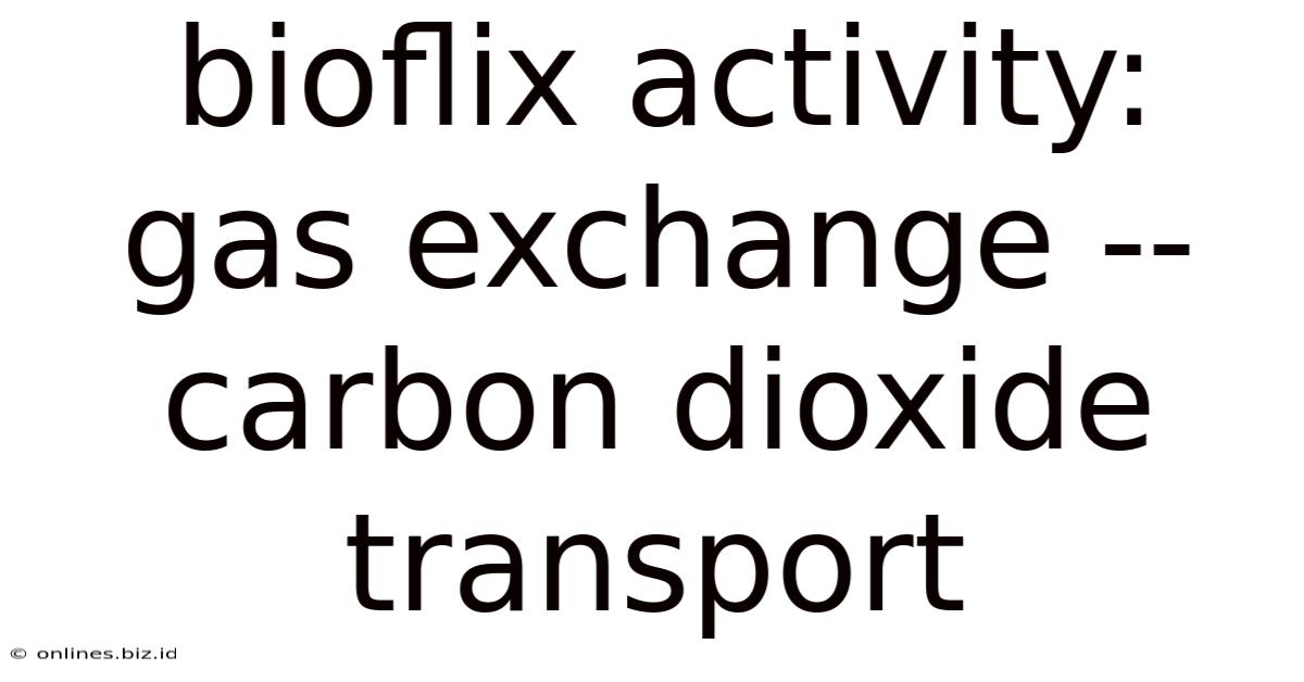 Bioflix Activity: Gas Exchange -- Carbon Dioxide Transport