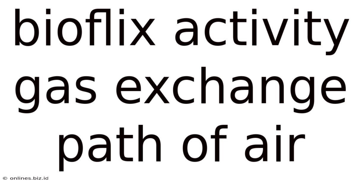 Bioflix Activity Gas Exchange Path Of Air