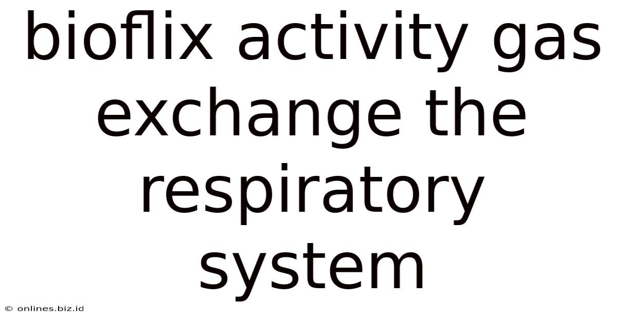 Bioflix Activity Gas Exchange The Respiratory System