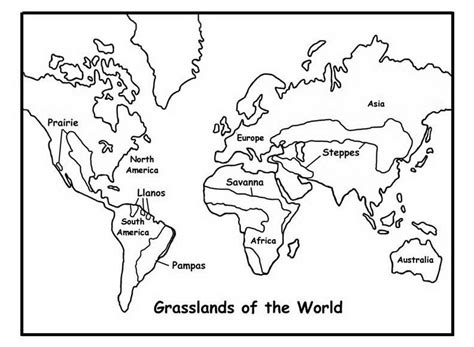 Biome Map Coloring Worksheet Answer Key