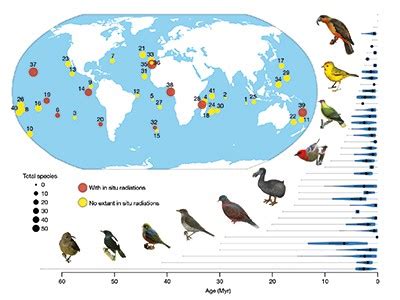 Bird Island Biodiversity Analysis Questions Answers