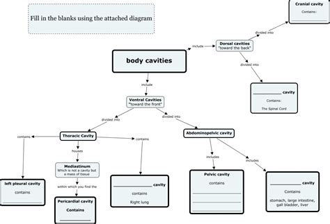 Body Cavities And Membranes Concept Map