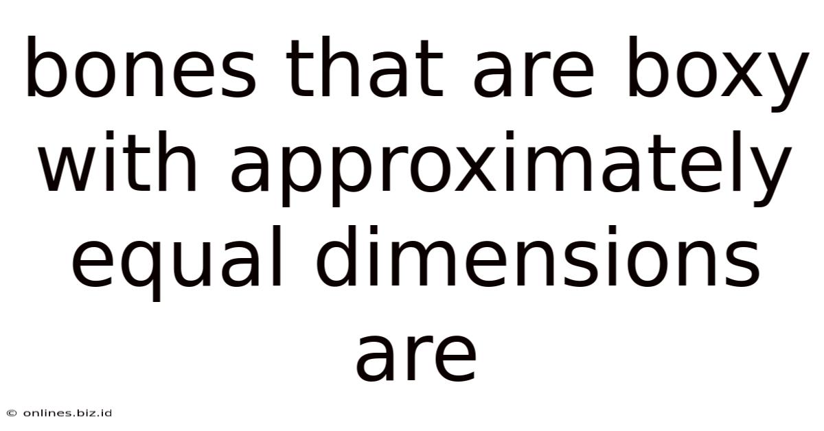Bones That Are Boxy With Approximately Equal Dimensions Are