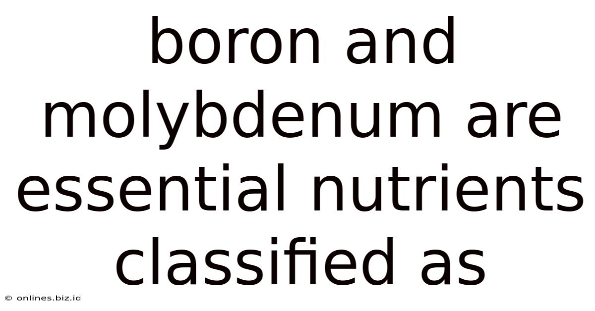 Boron And Molybdenum Are Essential Nutrients Classified As