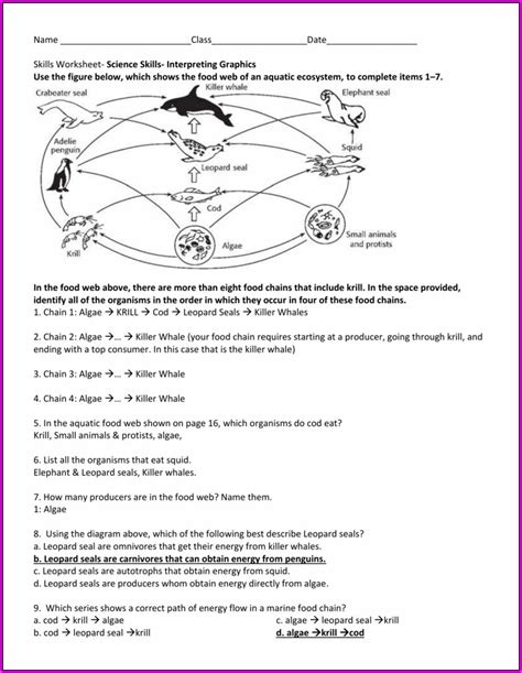 Brain Games Observation Skills Worksheet Answers