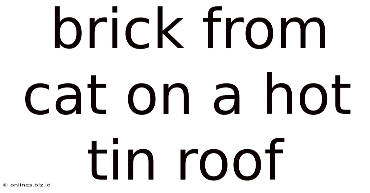 Brick From Cat On A Hot Tin Roof