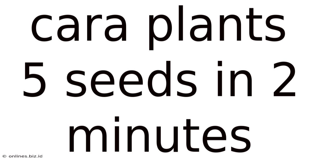 Cara Plants 5 Seeds In 2 Minutes