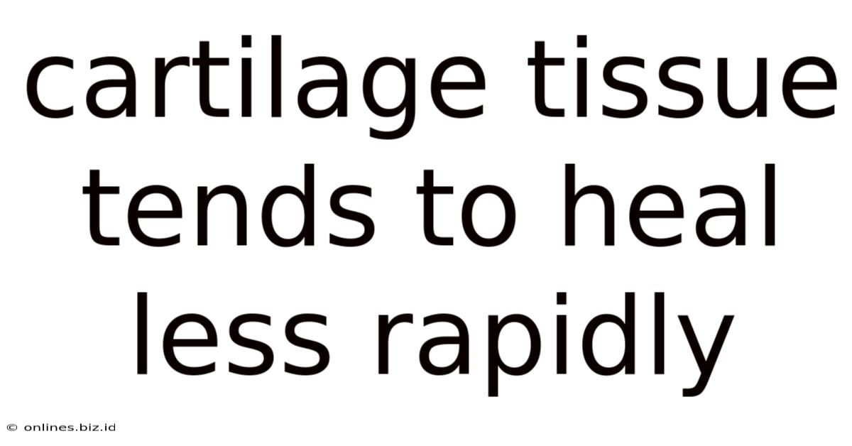 Cartilage Tissue Tends To Heal Less Rapidly
