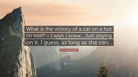 Cat On The Hot Tin Roof Quotes