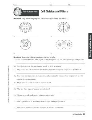 Cell Division Reinforcement Answer Key Pdf