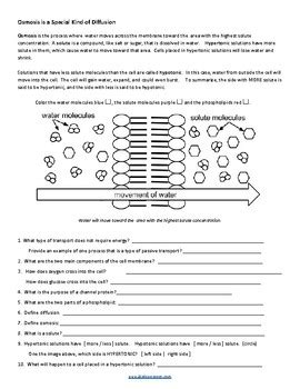 Cell Membrane And Transport Coloring Answer Key