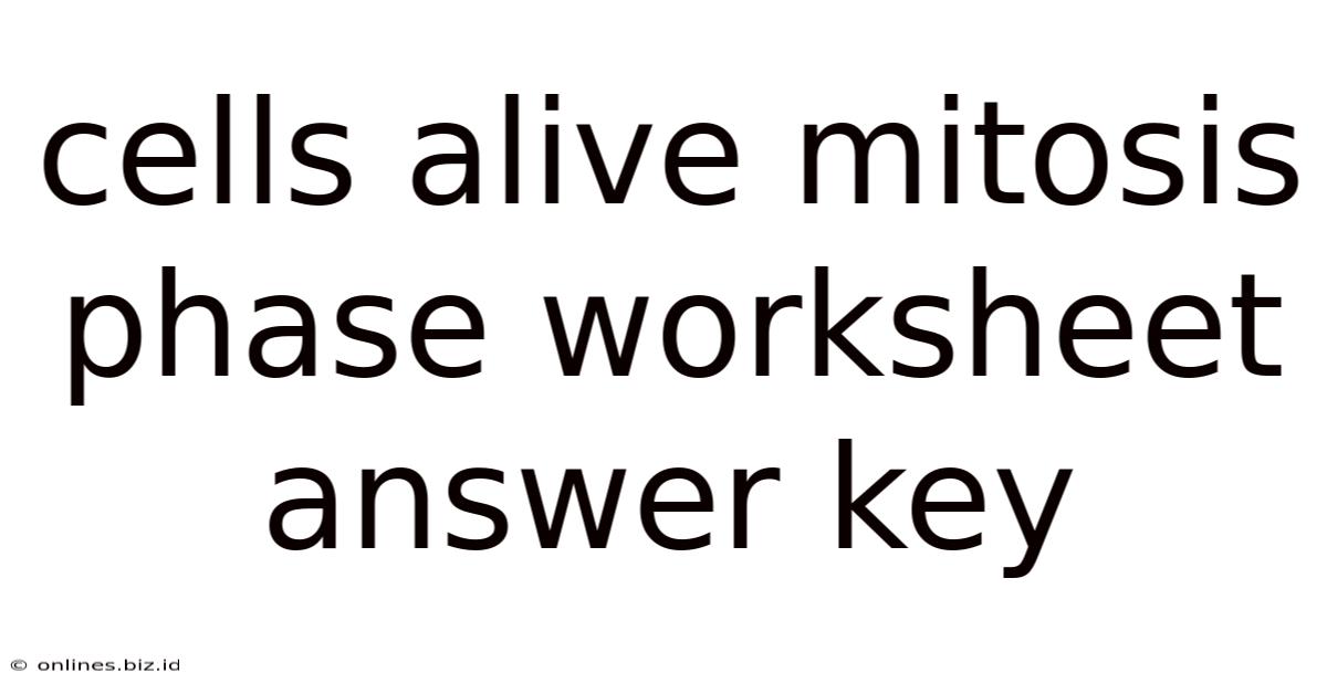 Cells Alive Mitosis Phase Worksheet Answer Key