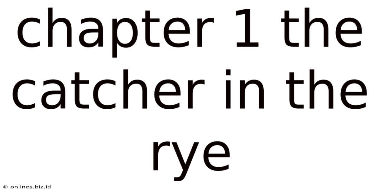 Chapter 1 The Catcher In The Rye