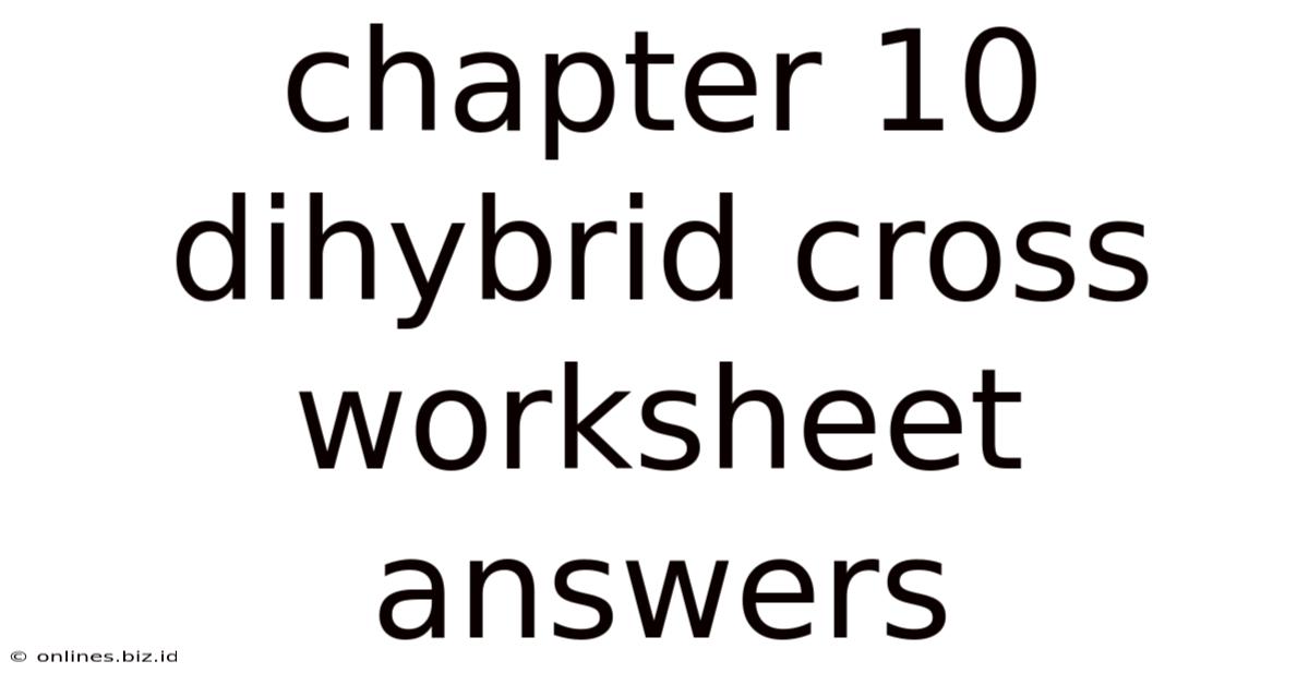 Chapter 10 Dihybrid Cross Worksheet Answers