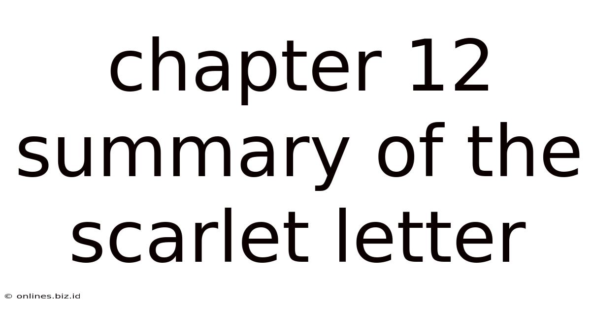 Chapter 12 Summary Of The Scarlet Letter