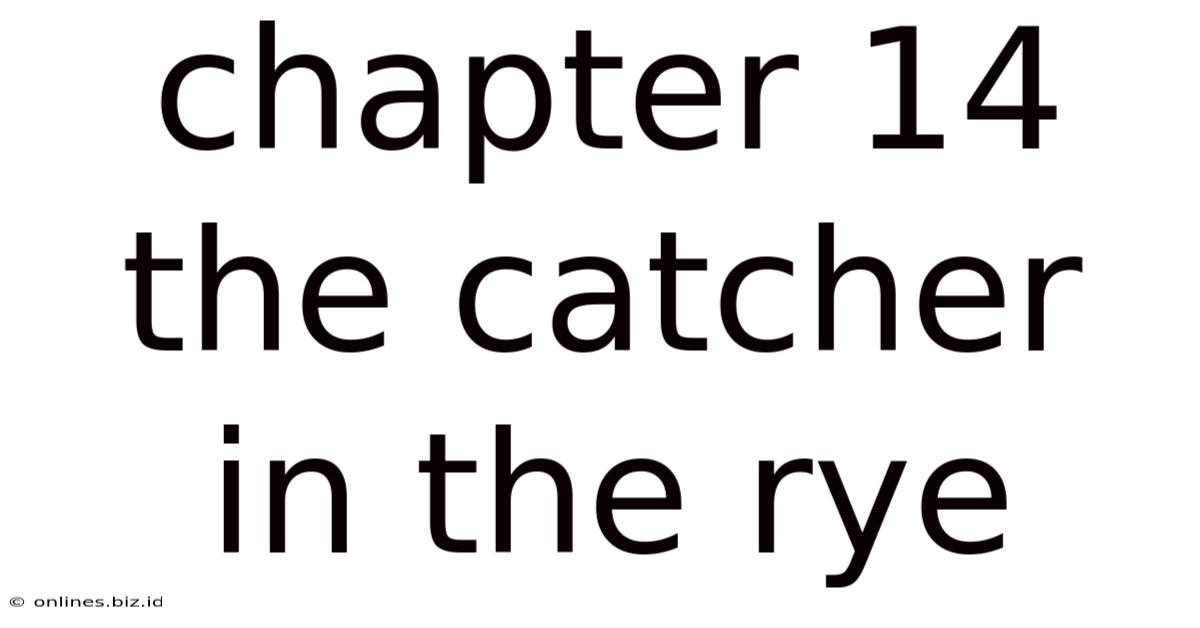Chapter 14 The Catcher In The Rye