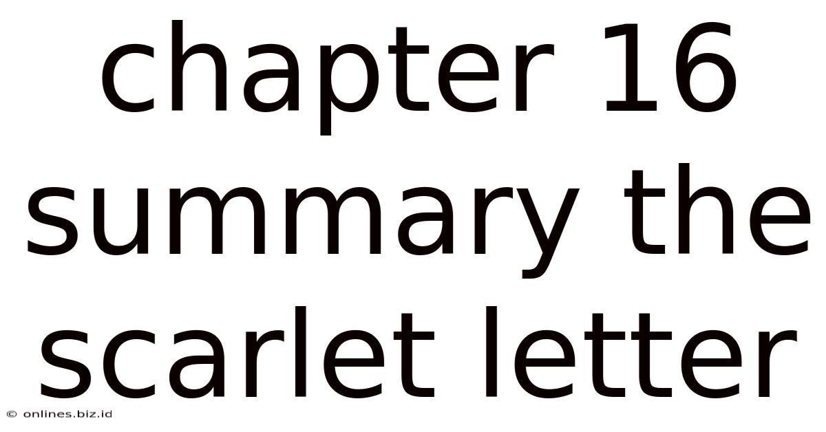 Chapter 16 Summary The Scarlet Letter