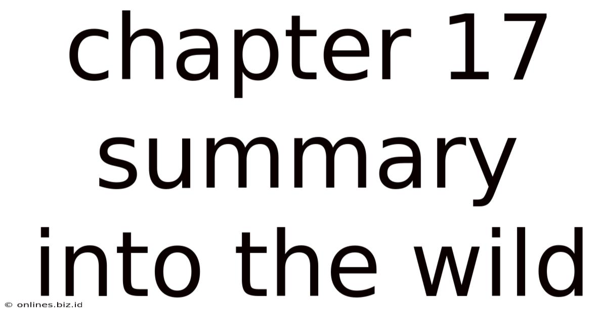 Chapter 17 Summary Into The Wild
