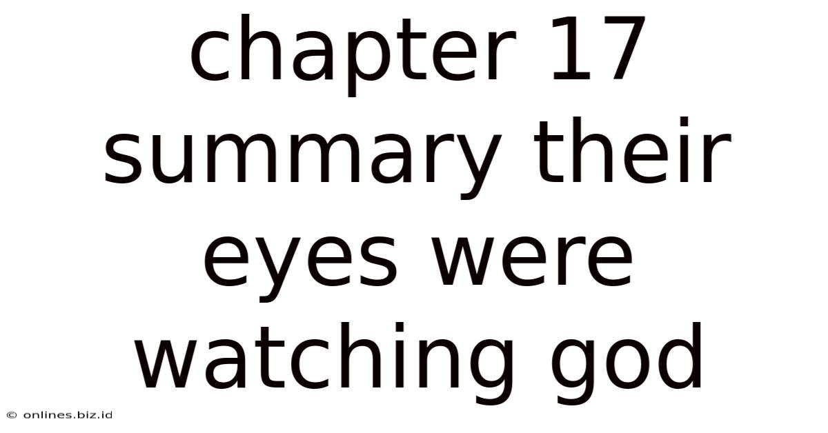 Chapter 17 Summary Their Eyes Were Watching God