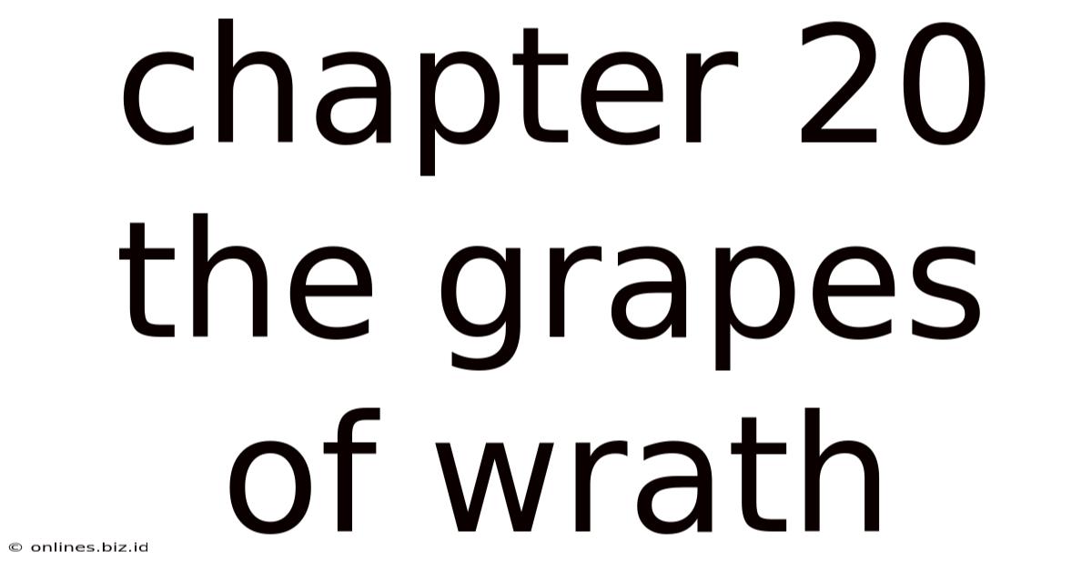 Chapter 20 The Grapes Of Wrath