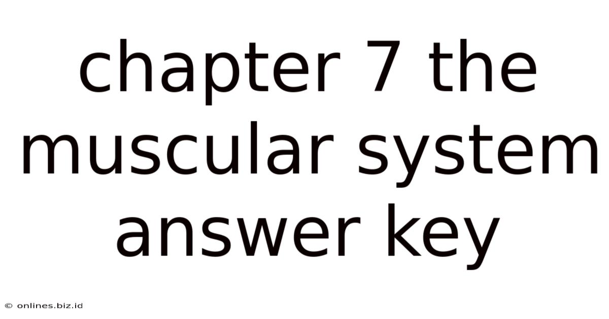 Chapter 7 The Muscular System Answer Key