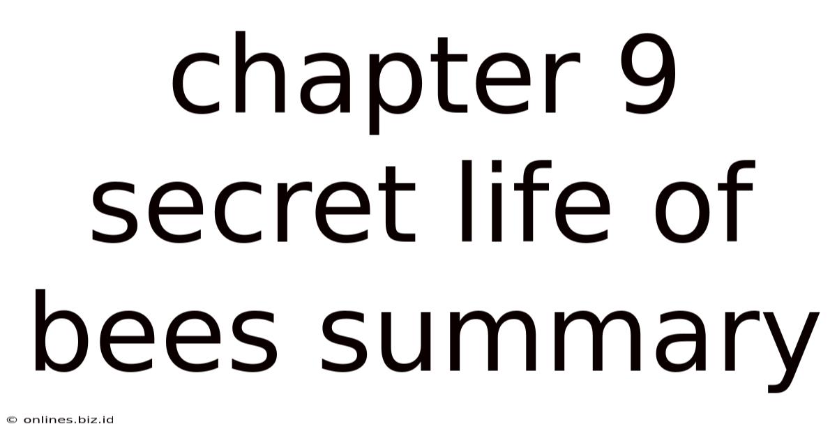 Chapter 9 Secret Life Of Bees Summary