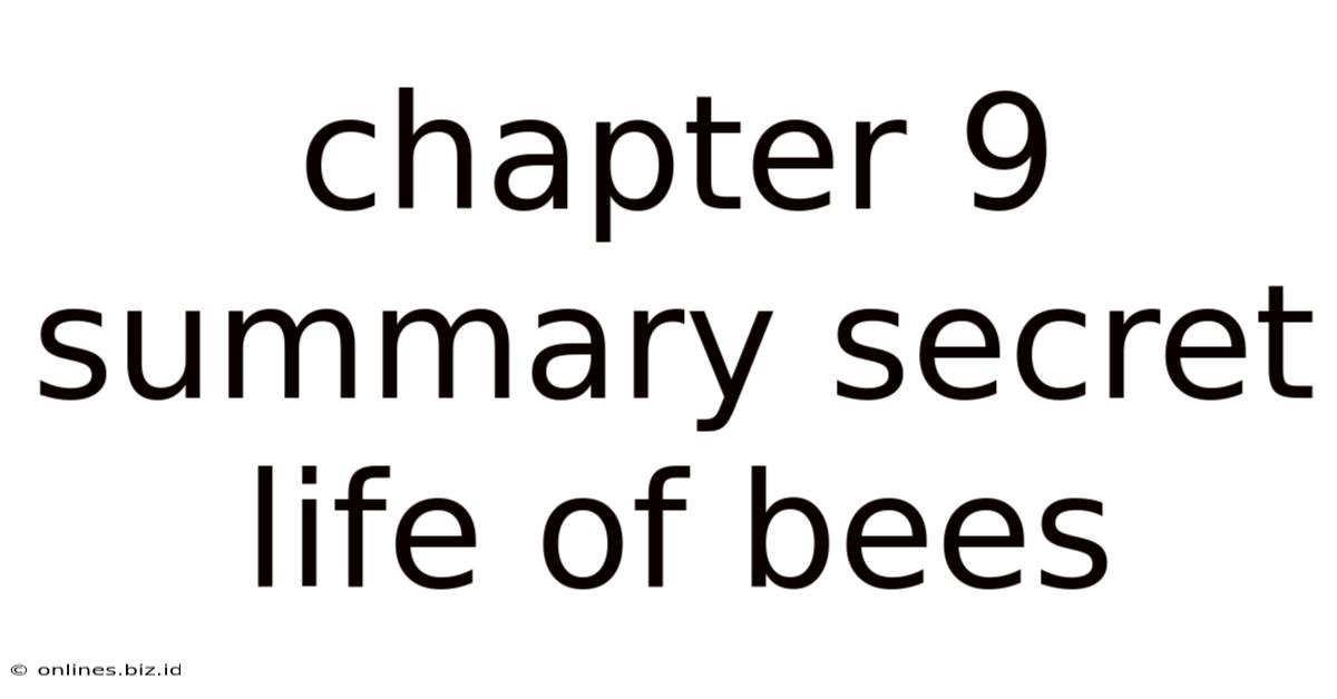 Chapter 9 Summary Secret Life Of Bees