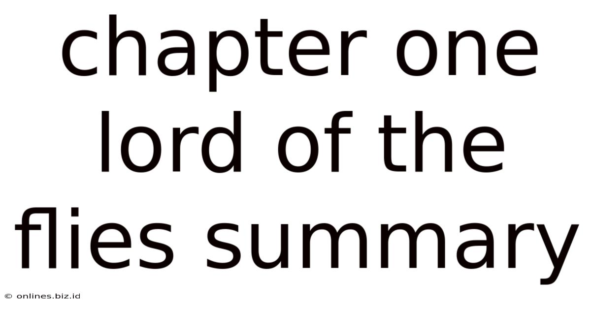 Chapter One Lord Of The Flies Summary