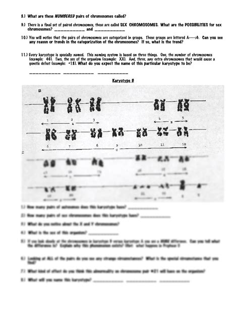 Chromosome And Karyotype Review Answer Key