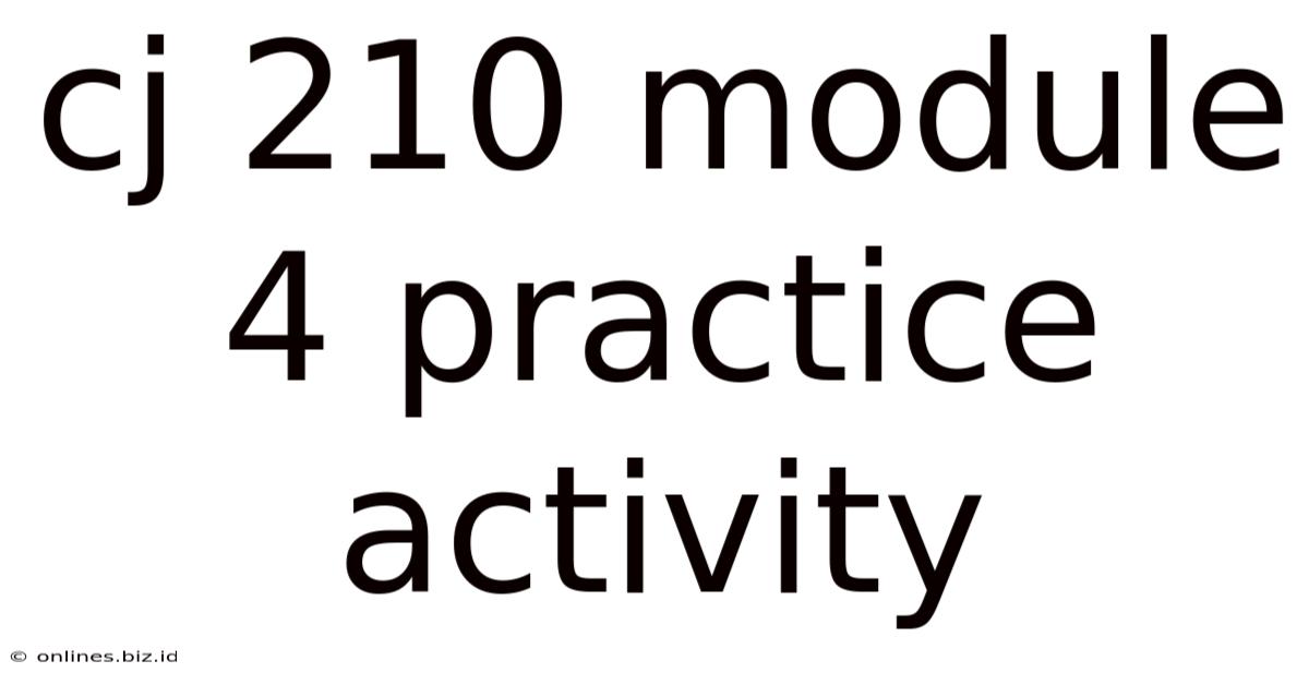 Cj 210 Module 4 Practice Activity