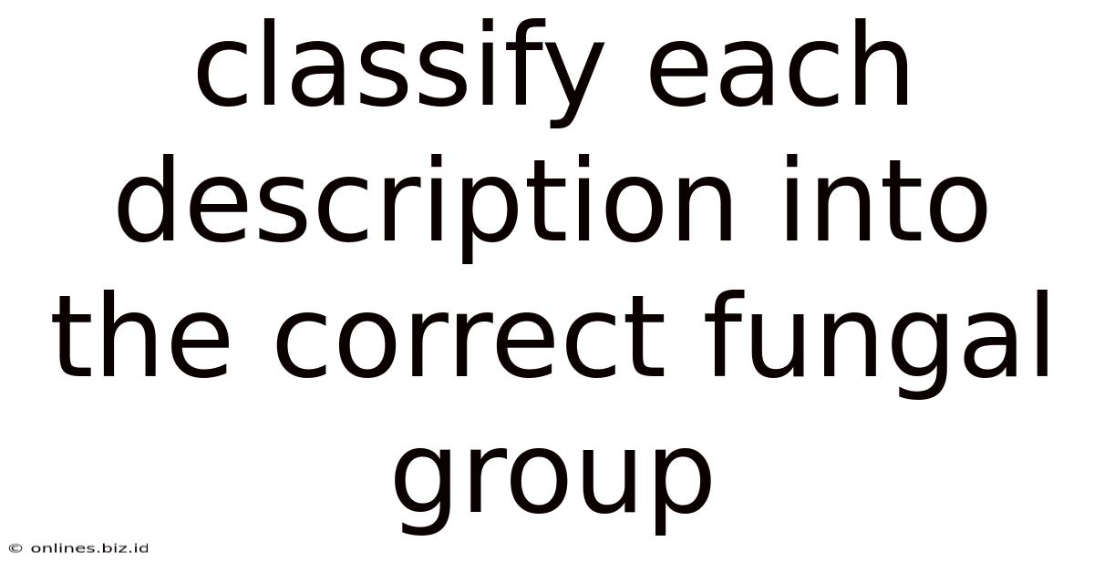 Classify Each Description Into The Correct Fungal Group