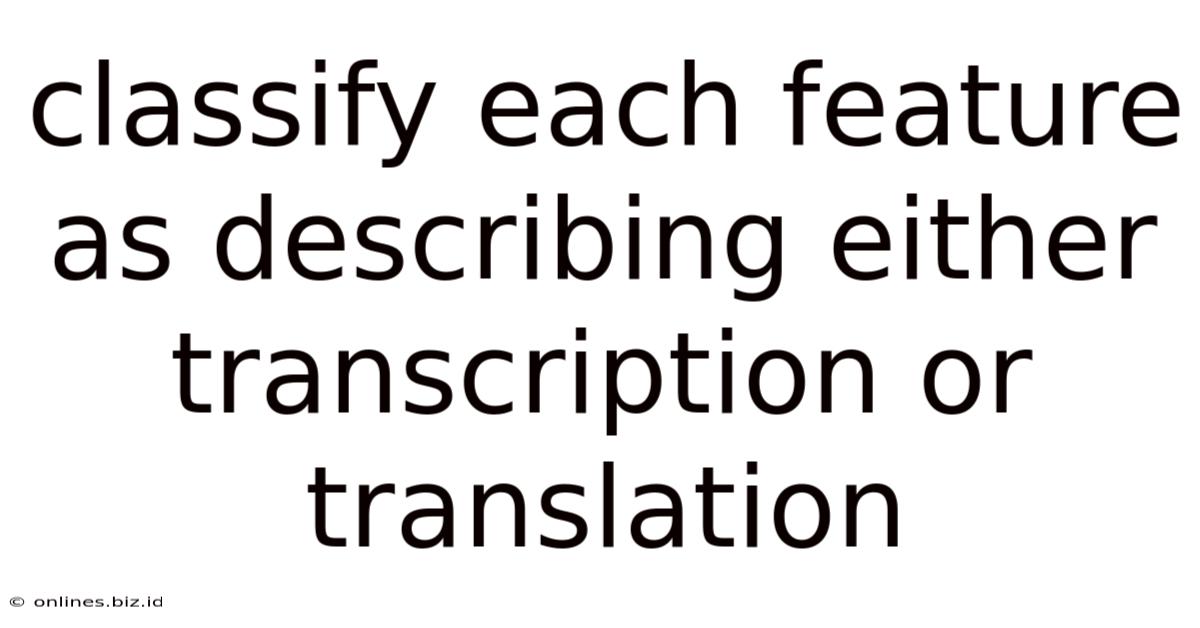 Classify Each Feature As Describing Either Transcription Or Translation