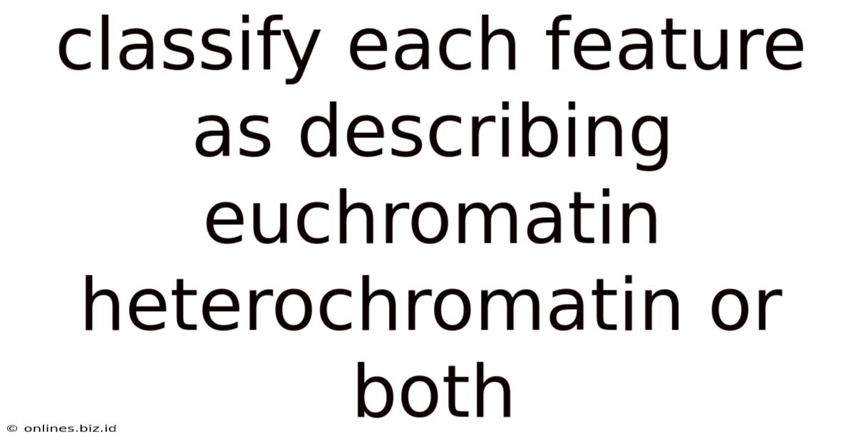 Classify Each Feature As Describing Euchromatin Heterochromatin Or Both