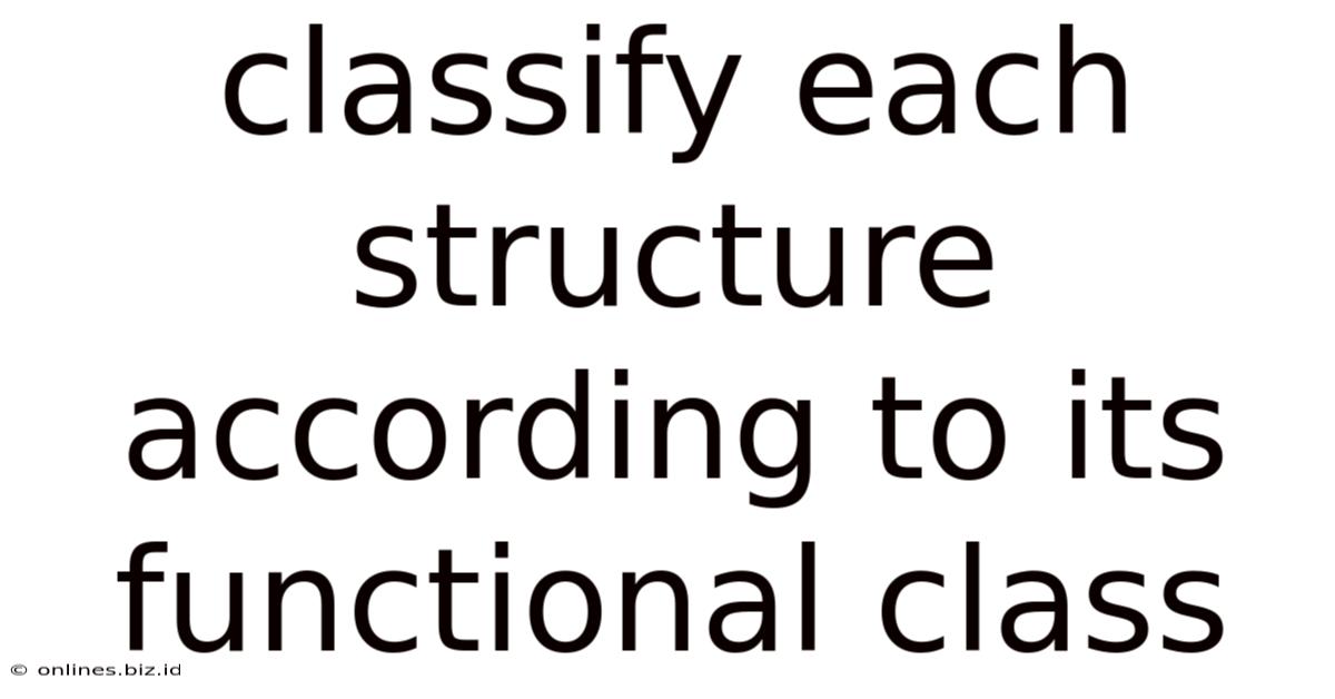 Classify Each Structure According To Its Functional Class