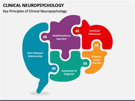 Clinical Neuropsychology Is Multidisciplinary And Overlaps With The Fields Of