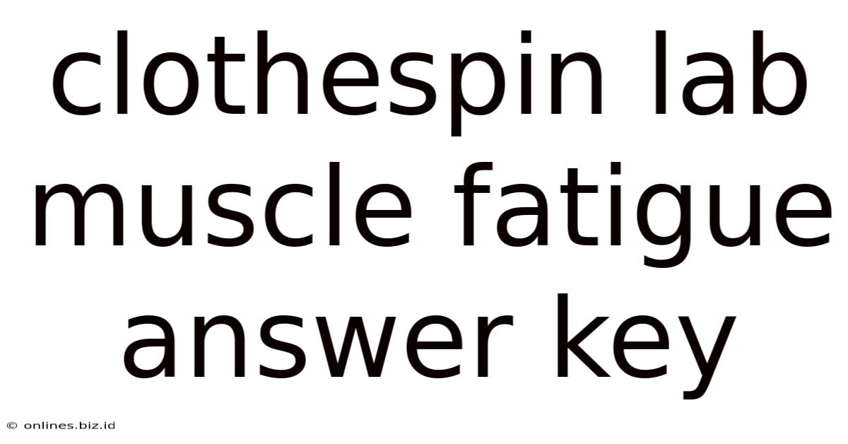Clothespin Lab Muscle Fatigue Answer Key