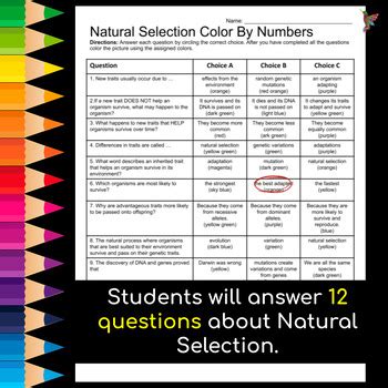 Color By Number Natural Selection Answer Key