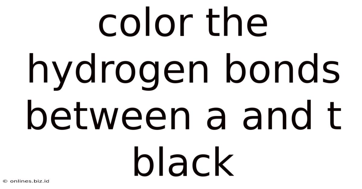 Color The Hydrogen Bonds Between A And T Black